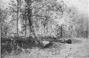 Autumn In The Lynn Woods by Charles Edwin Lewis Green
