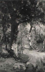 Figure Beside A Wooded Path