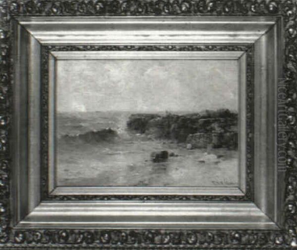 Rocky Coast - view 1
