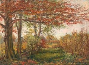 Cornstalks In A Fall Landscape