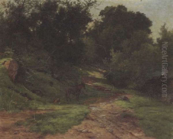 Donkey On A Forest Pathway - view 1