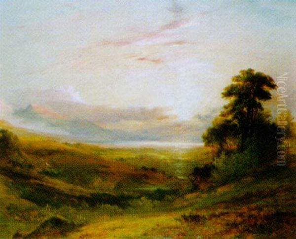 Extensive River Landscape - view 1