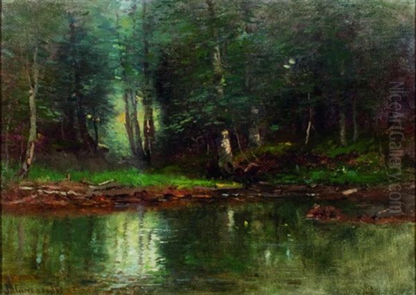 Woodland Reflections - view 1