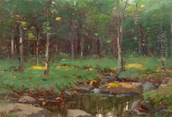 A Pond In The Woods - view 1
