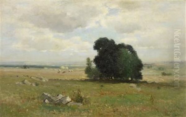Untitled (a Princeton Pasture) - view 1