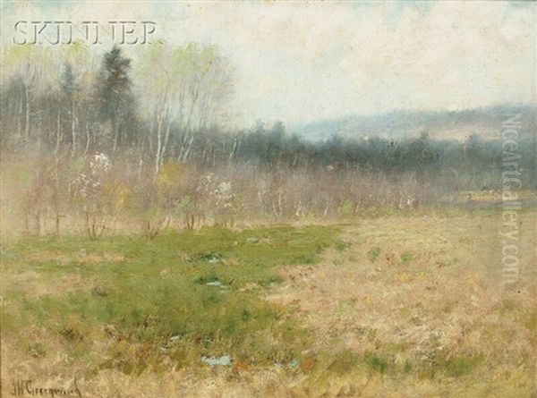 Spring Meadow - view 1
