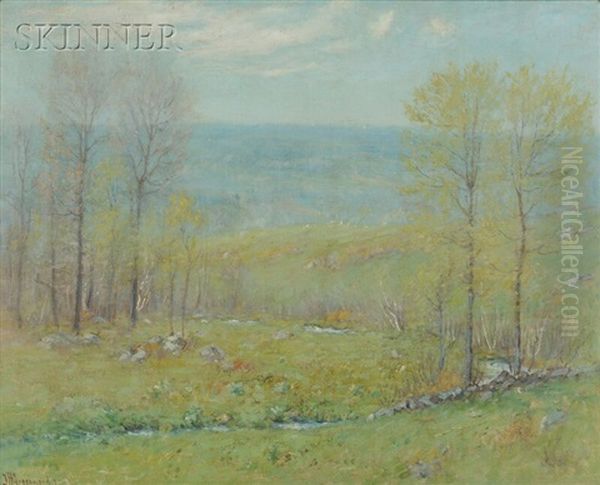 Morning Mist - view 1