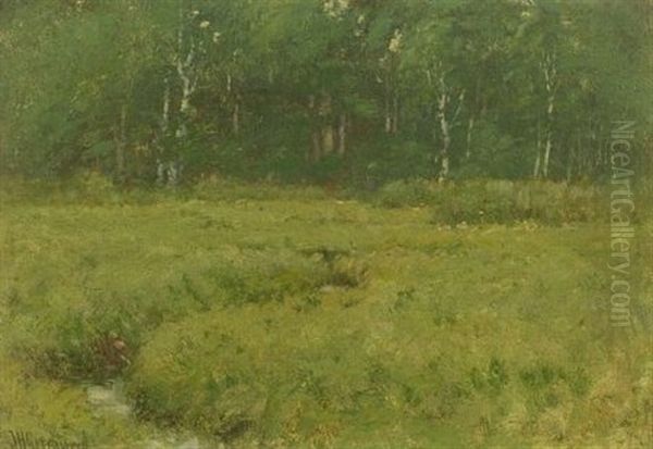 Green Meadow - view 1