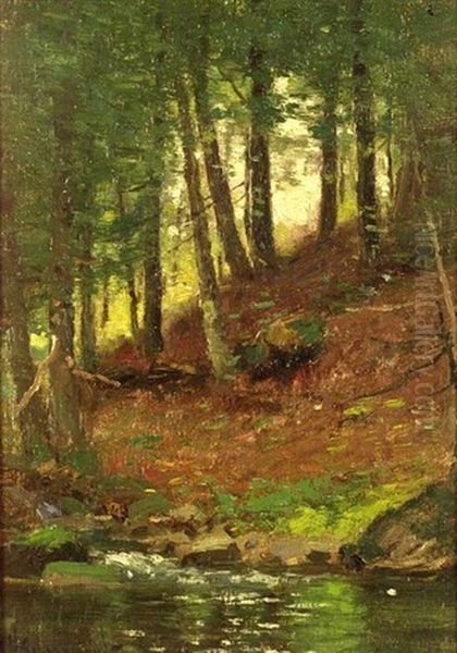 Woodland Stream - view 1