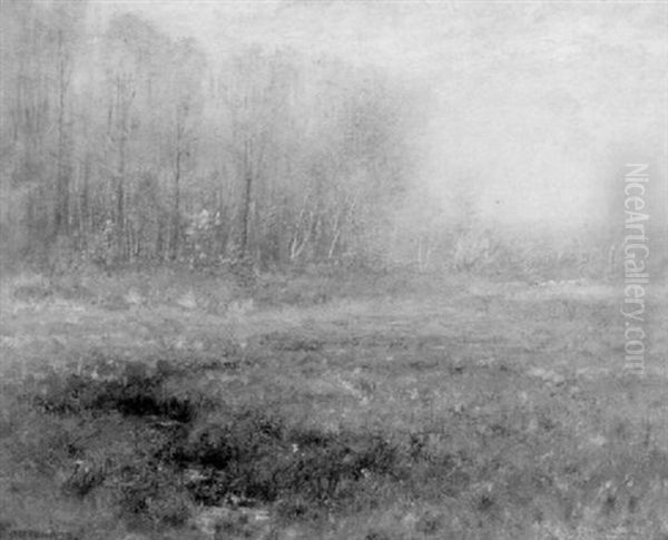 Spring Meadow - view 1