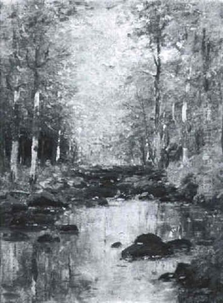 River Through The Summer Woods - view 1