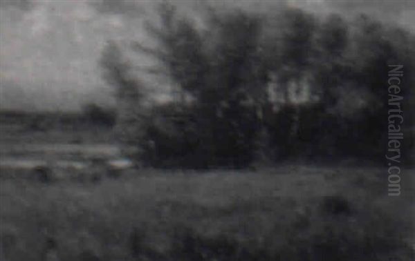 Birches By A Pond - view 1