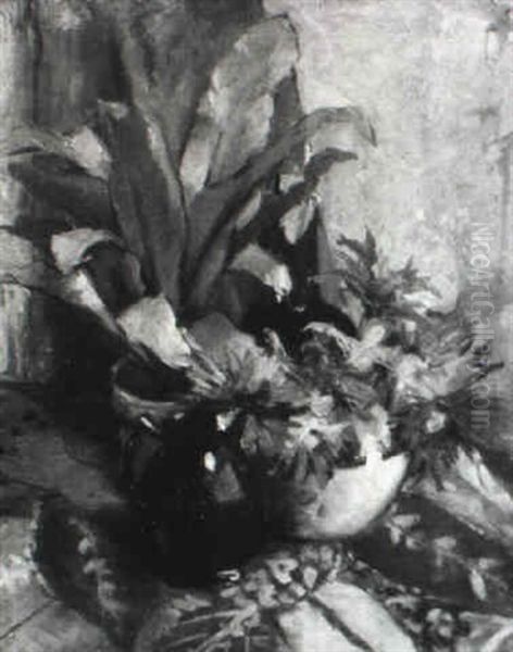 Flowers And Fern - view 1