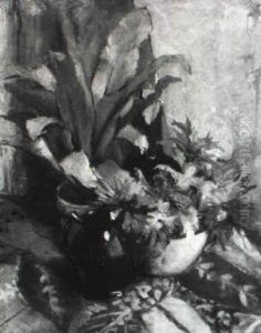 Flowers And Fern