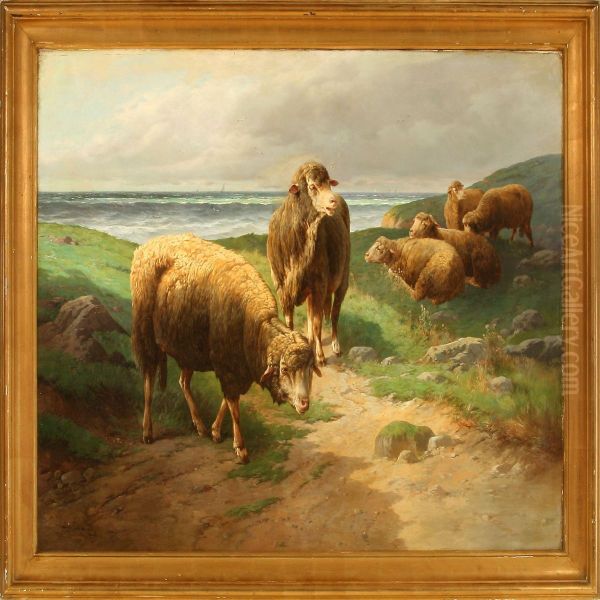 Grazing Sheep On A Beach - view 1