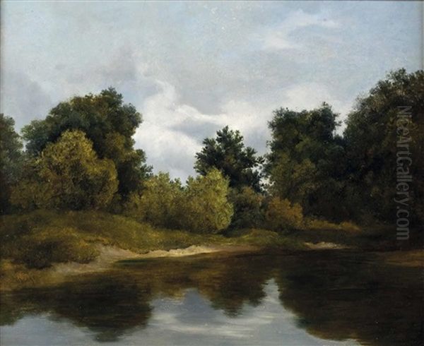 Waldlandschaft - view 1