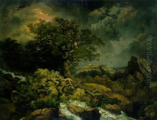 Waldlandschaft Mit Felsblocken Und Einem Sturzbach - view 1