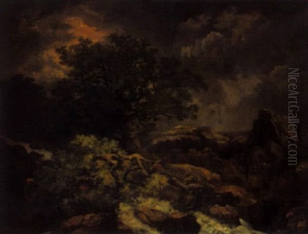 Sturzbach Mit Alter Eiche Bei Gewitter - view 1