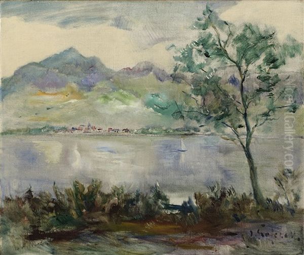Fluslandschaft - view 1