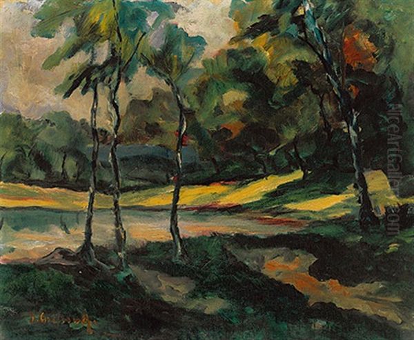 Abendliche Teichlandschaft Mit Parkhintergrund - view 1