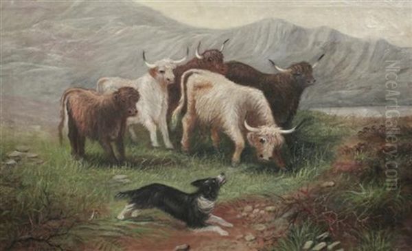 Highland Cattle (pair) - view 1