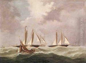 Racing Cutters Neck And Neck