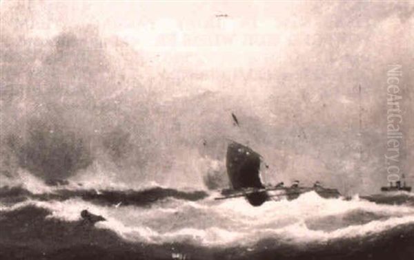 Fishing Pink And Liner In Rough Seas - view 1