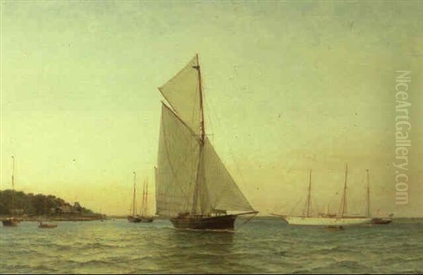 Racing Cutter With Other Yachts - view 1