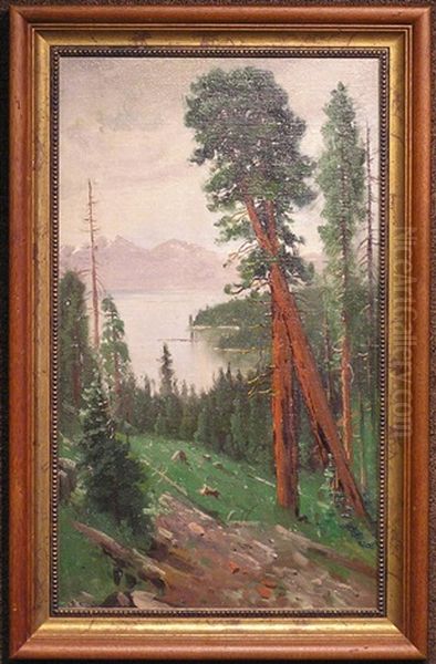 High Sierras - view 1
