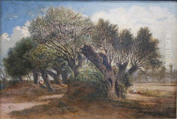 Paysage - view 1
