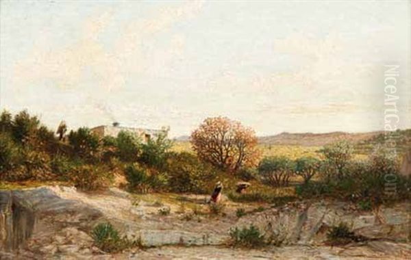 Paysage - view 1