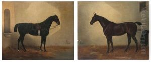 Pendantgemalde Zweier Vollblut-rennpferde (pair) by Alfred Grey