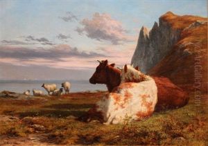 Cattle On The Hill, Howth, Co Dublin