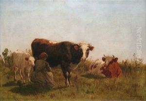 Cows In A Field Cows In A Field