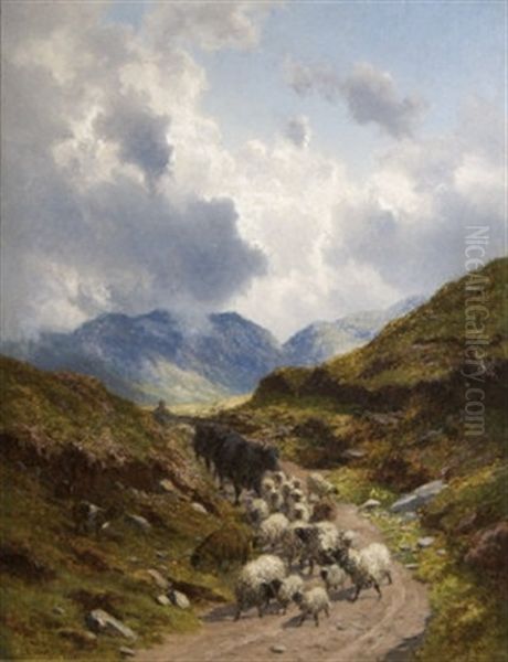 The Way Home (mountain Landscape) - view 1