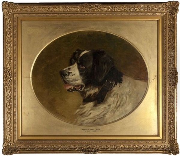 Portrait Of A St. Bernard - view 1