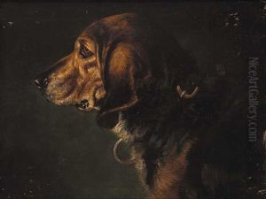 Study Of The Head Of A Celebrated Blood Hound, The Property Of William Drewett, Esq., Portobello Gardens