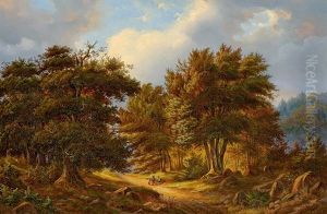 Rast Im Wald