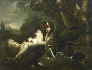 Jagdstuck. Jagdhund Apportiert Eine Wildente In Waldlandschaft