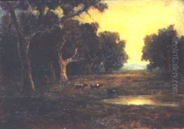 Cattle In A Wooded Pasture - view 1