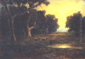 Cattle In A Wooded Pasture