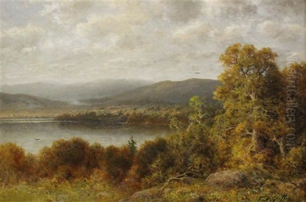 River Landscape - view 1