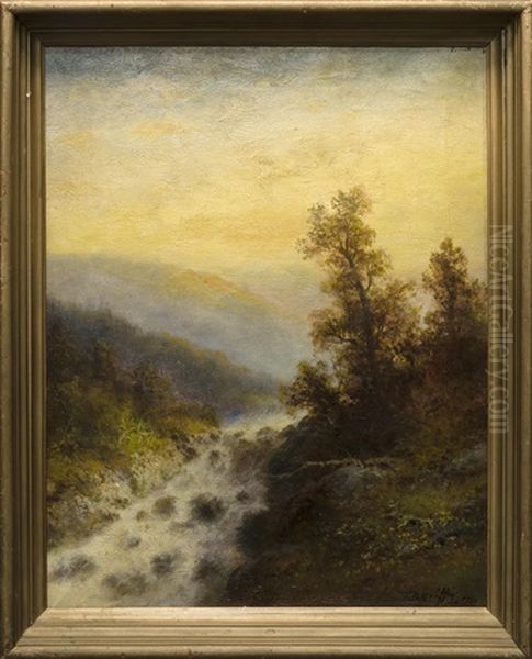 Mountain Stream - view 1