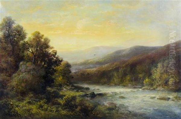 Landscape - view 1