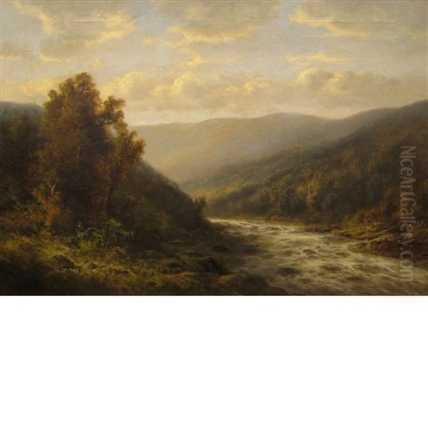 Landscape With Rapids, Blue Sky And Clouds - view 1