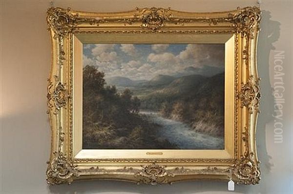 Landscape - view 1
