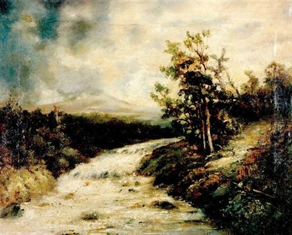 Meander River In Landscape - view 1