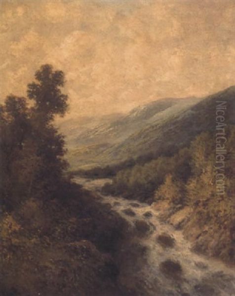 A River In Spate - view 1