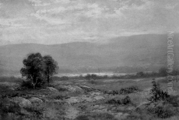 White Mountain Landscape - view 1