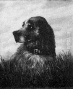 Setter In A Landscape Setter In A Landscape